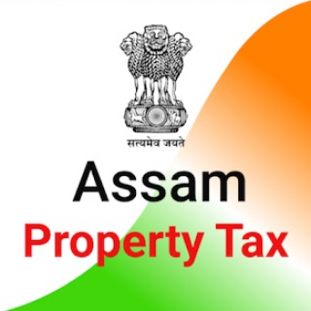 Self Assessment of Property Tax